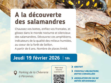 A la découverte des salamandres