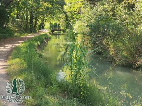 Les Promenades de Fleur