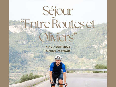 Expérience vélo "Entre Routes et Oliviers"