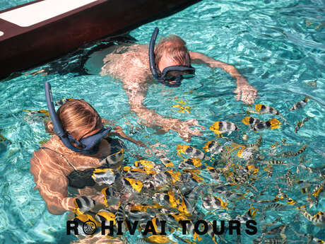 Rohivai Tours