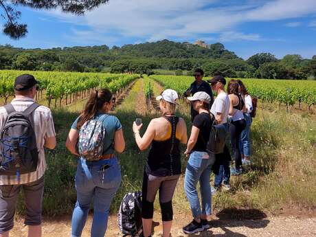 Wein- und Sinneserlebnis auf dem Weingut La Courtade