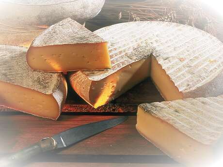 Visit the Condeval farm: discover how Saint-Nectaire cheese is made
