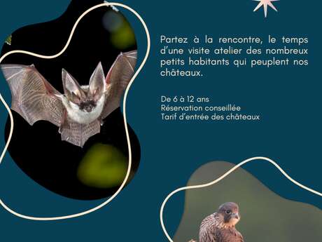 Atelier enfants "Les petits animaux des châteaux"