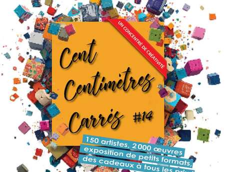 Exposition Cent Centimètres Carrés #14 Exposition Cent Centimètres Carrés #14