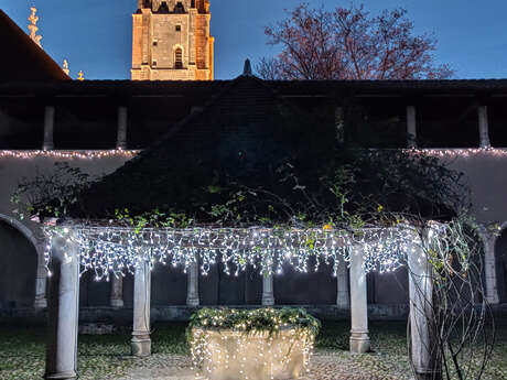 Lumières enchantées