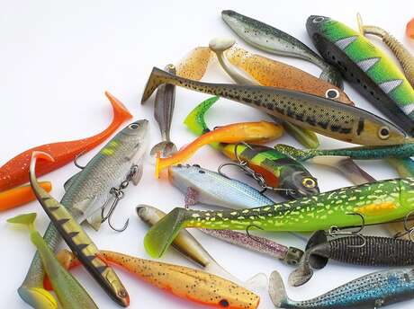 Semaine gourmande : pêche aux leurres en lac