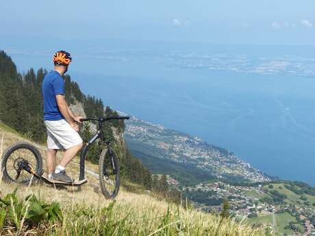 Footbike XC - DH -Trail