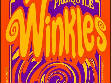 Soirée pop rock avec les Winkles