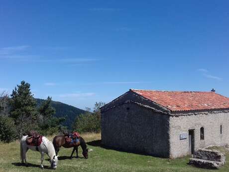 Les Sabots de la Vigne - Balades, randonnées et voyages équestres