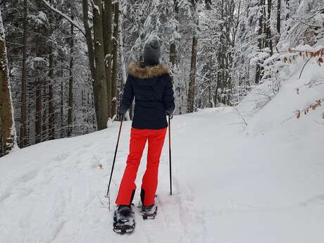 Halbtagesausflug zum Lac vert mit Schneeschuhen