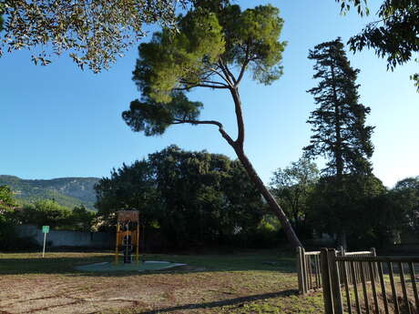 Plaine de Jeu Mouttet