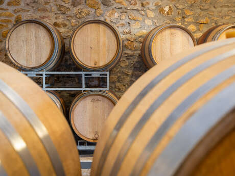 Les soirées Music & Wine - Concerts & Vins sous les étoiles au Domaine Château Vert