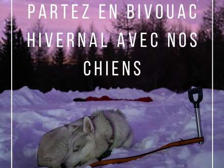 Raid bivouac en traineau à chiens