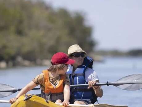 Découverte en kayak de l'embouchure du Rhône