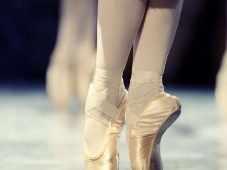 Spectacle : "Entrez dans la danse"