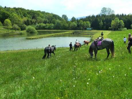 Balades à poney au pied de la Chartreuse Balades à poney au pied de la Chartreuse