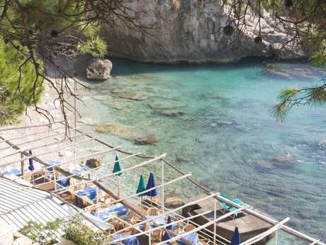 Plage privée Cala Pulpo