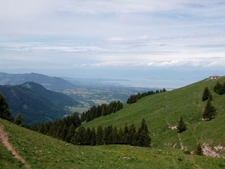 Van chalets tot alpenweiden