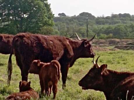 A walk to meet our local producers