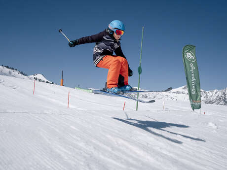 La super roue du Mom'Park