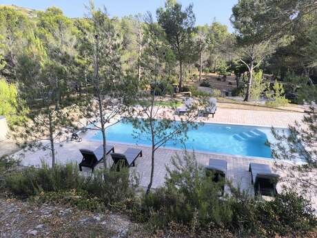 Nature under the pines