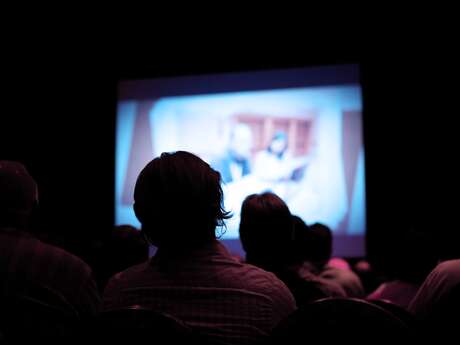 Les Midis du documentaire sur l'art contemporain