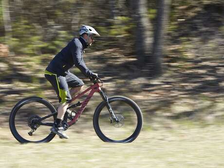 VTT n°3 - La maison forestière