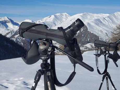 Découverte en direct du Gypaète barbu et sensibilisation au risque avalanche