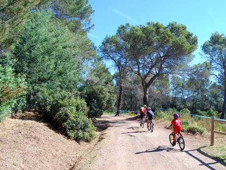 Circuit VTT : Boucle du défens