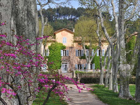 Château Les Mesclances