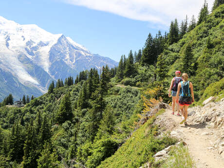 Grand Balcon Sud : Flégère - Planpraz