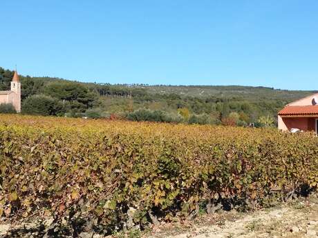 Le Clos de la Pinède