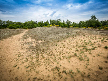 Liaison VTT-VTC (L7) St Trivier de Courtes - Dunes de la Charme (Sermoyer) Liaison VTT-VTC (L7) St Trivier de Courtes - Dunes de la Charme (Sermoyer)
