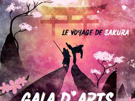 Gala Arts Martiaux