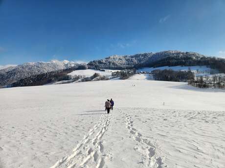 Hiking track - Col du Perret