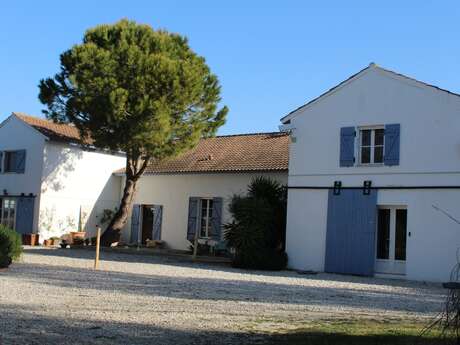 Mas Constantin - La sellerie