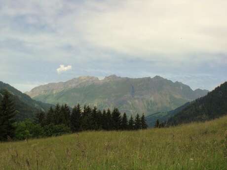 La Porte des Aravis