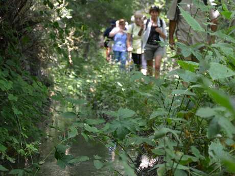 On the canals of Briançon with Nicolas Izquierdo