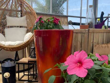 Bricoloisirs - Guilbon Nurseries