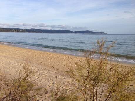 Grande Plage de Cavalaire