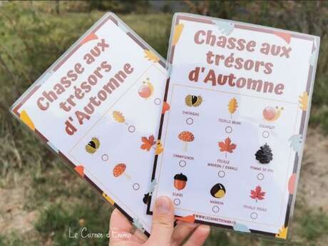 Chasse au trésor - "Myrtille" la sorcière de la nature