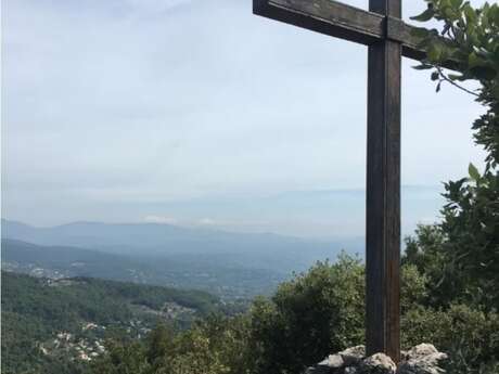 Bois communal de la Pigne