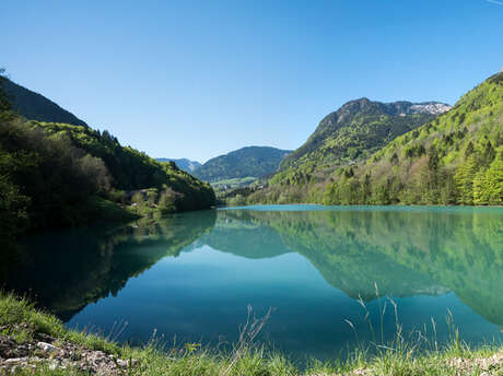 Jotty Lake and Dam