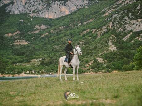 Sorties à cheval et à poney avec Verdon Equitation