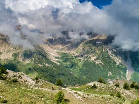 Piste VTT - Enduro Magic Woods