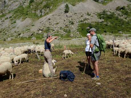 Rdv avec le Parc : biodiversité et pastoralisme