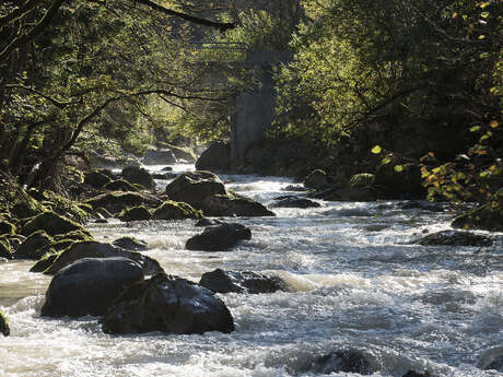 Pêche dans la Dranse de Morzine au Pont de Gys