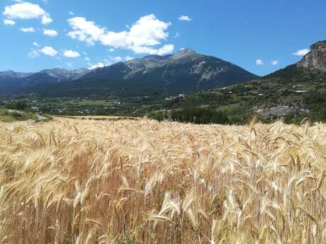Chemin de la Durance