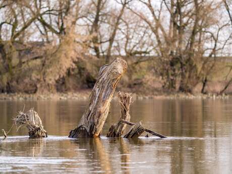 Notre fleuve Loire en héritage - Conférence UPT