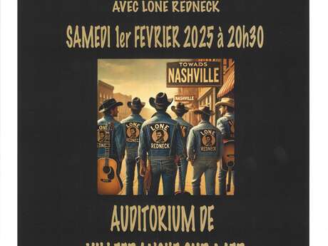 Concert Rock'n'Roll par Lone Redneck